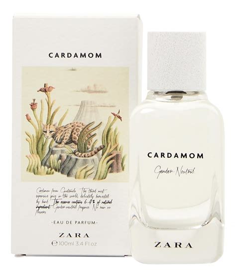 parfum von zara|Cardamom